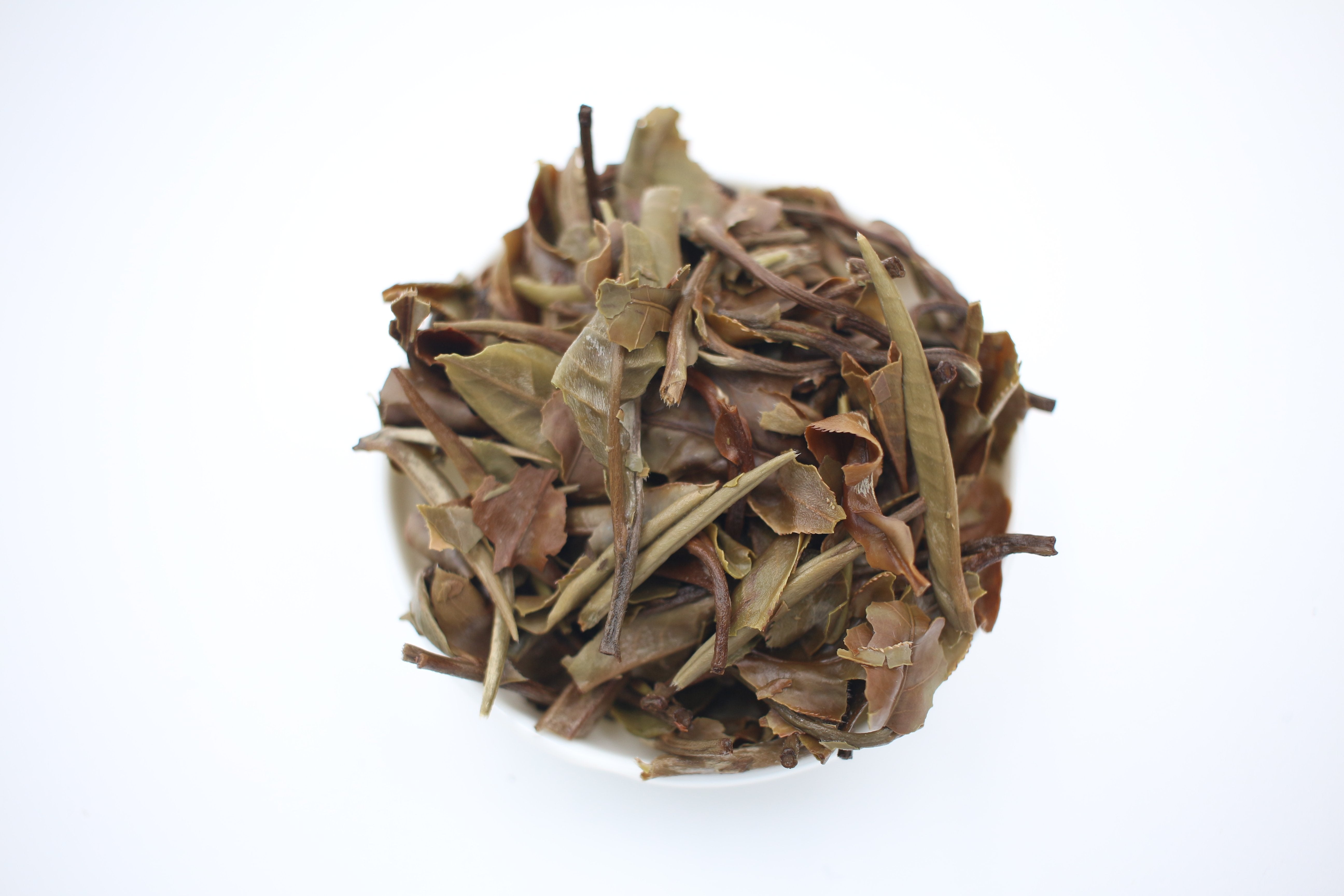 China "Yue Guang Bai" White Tea